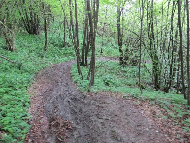 ...wandern wir über zum Teil rutschigen Partien abwärts