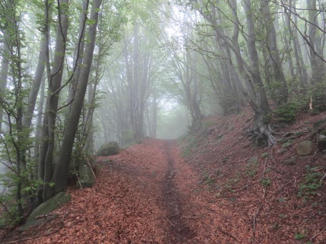 der Weg ist das Ziel