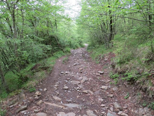 der markierte Weg führt uns nun steil, rutschig und steinig abwärts