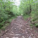 der markierte Weg führt uns nun steil, rutschig und steinig abwärts