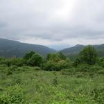 ...und Buschlandschaft...