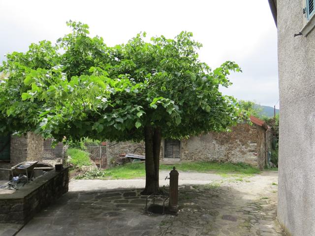 diese kleine Dorf Groppoli, bietet leider auch keine Einkehrmöglichkeit