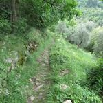 über ein sehr schönes mit südlichem Flair bestücktes Teilstück..