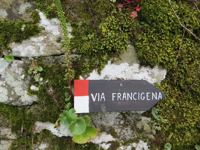 die Via Francigena führt uns nun wieder aufwärts...