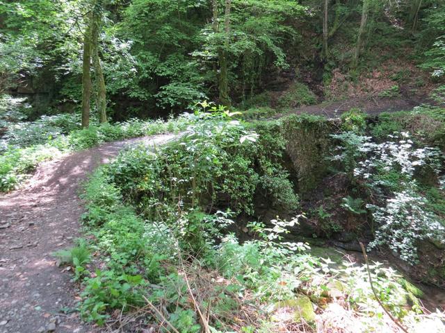 ...gelangen wir im Wald zum Fosso del Pratello mit Steinbogenbrücke