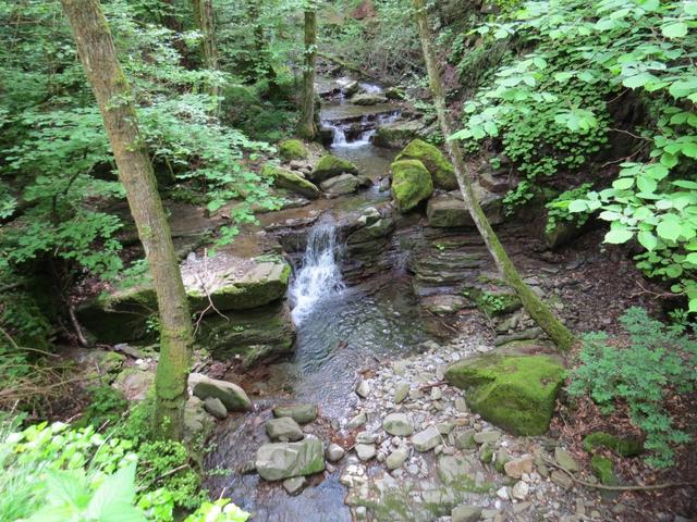 die Landschaft die wir hier zu Gesicht bekommen hat einen subtropischen Urwald Charakter