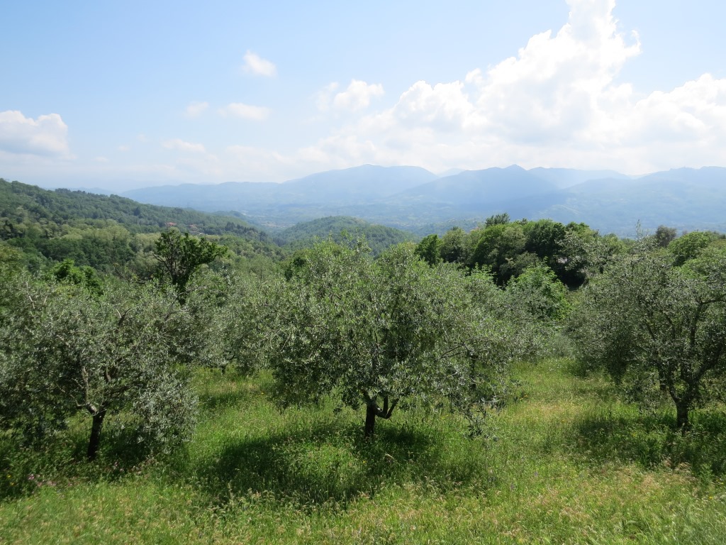 hier können wir definitiv sagen, wir haben das Apennin hinter uns gelassen