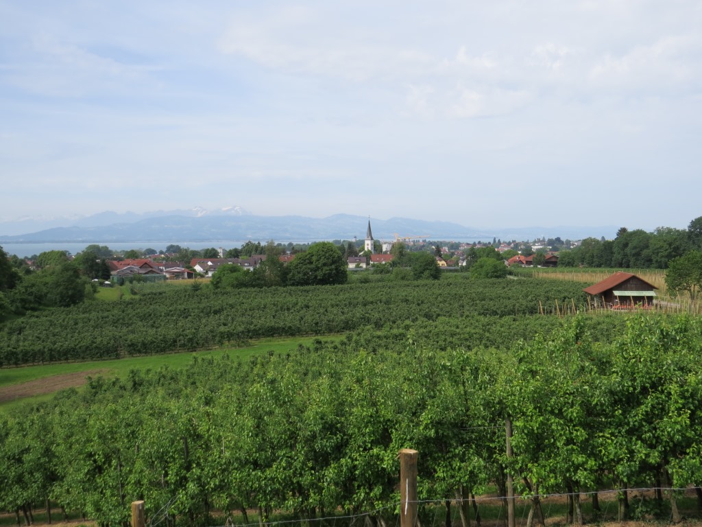 Blick zurück Richtung Reutin und Lindau