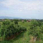 Blick von Bäuerlinshalde Richtung Reutin, Lindau und Bodensee