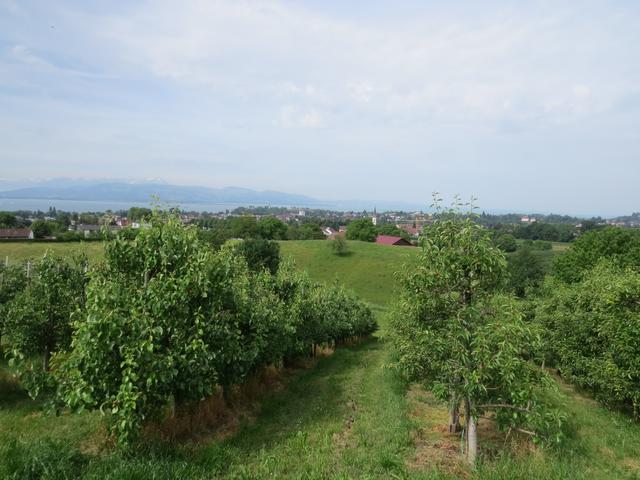 Blick von Bäuerlinshalde Richtung Reutin, Lindau und Bodensee