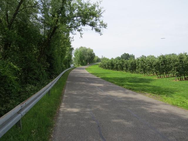 wir überschreiten aber noch nicht die Grenze, und biegen rechts ab