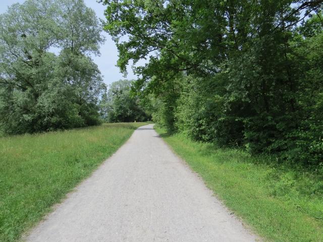 alles am Fluss Leiblach, diesmal auf österreichischen Seite...