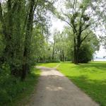 direkt am See bei der schönen Parkanlage von Lochau