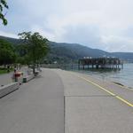 alles an der breiten Seepromenade entlang, nehmen wir das letzte Teilstück nach Bregenz unter die Füsse