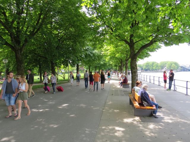 wir laufen der schönen Seepromenade von Bregenz  Richtung Bahnhof, wo wir das Auto parkiert haben