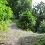 bei der Weggabelung Punkt 965 m.ü.M. Von rechts zieht die Kiesstrasse herauf, wo wir vor kurzer Zeit links abgebogen sind