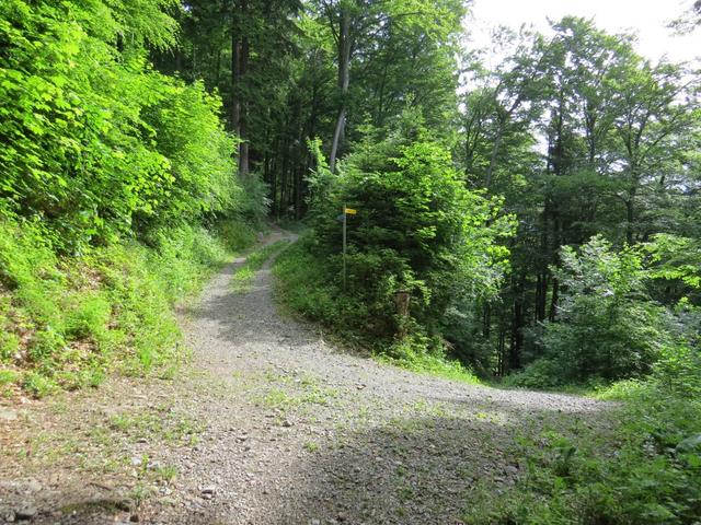 bei der Weggabelung Punkt 965 m.ü.M. Von rechts zieht die Kiesstrasse herauf, wo wir vor kurzer Zeit links abgebogen sind