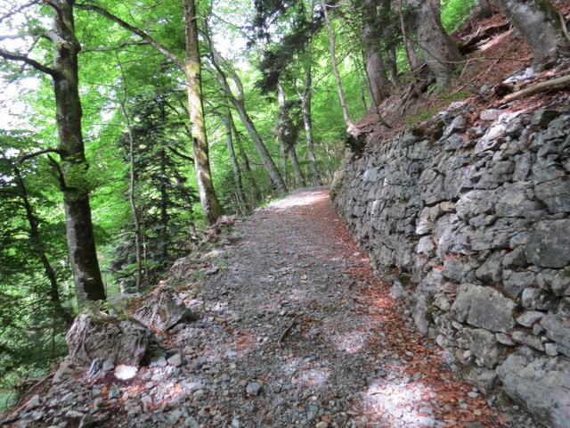 nach der zweiten Spitzkehre Punkt 1109 m.ü.M...