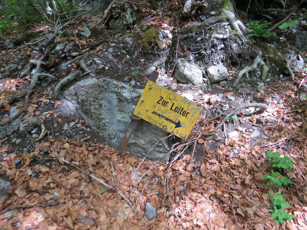 bei der Weggabelung beim Cholplatz, zeigt uns geradeaus ein altes verrostetes Schild wo es zum Leiterweg geht