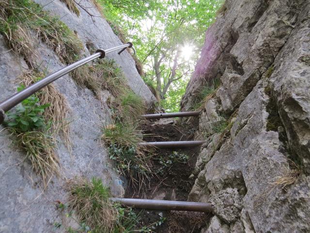 die zweite Leiter führt einem zwischen den Felsen aufwärts