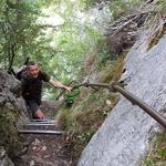 beide Leitern sind sehr gut und massiv erbaut worden. Ein Handlauf gibt einem zusätzliche Sicherheit