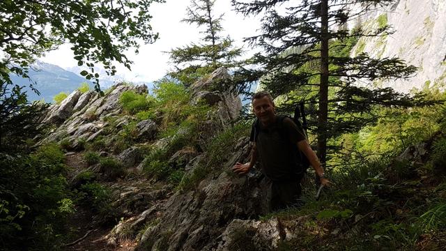 hat man danach auch die zweite Leiter überwunden, steht man mit beiden Füssen im Älpliwald