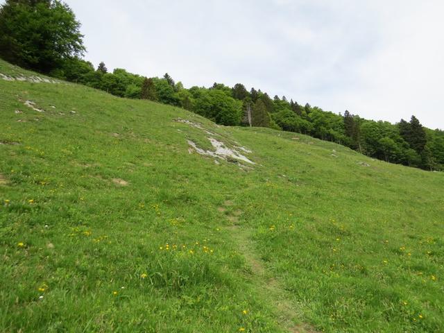 direkt hinter der Alphütte biegt vom offiziellem Wanderweg, links eine Wegspur ab