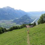 wir biegen vom offiziellem Wanderweg links ab, und nehmen die Abkürzung unter die Wanderschuhe