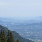 Blick Richtung Bodensee. Der Bodensee Rundweg können wir wärmstens empfehlen