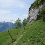 der Wanderweg führt weiter alles aufwärts Richtung Felswand des Gonzen