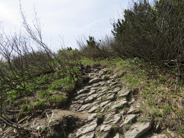 bei Nässe oder Schnee kann nun hier der Weg ein bisschen matschig oder rutschig sein...