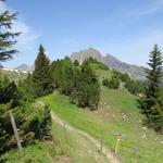 ...und wandern auf einfachem Wanderweg hinunter Richtung Alp Folla