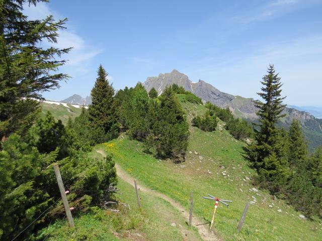 ...und wandern auf einfachem Wanderweg hinunter Richtung Alp Folla