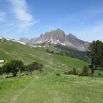 auf der  Alp Folla 1668 m.ü.M.