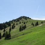 Blick zurück und hinauf zum Gonzen. Von dieser Seite ein lieblicher Berg