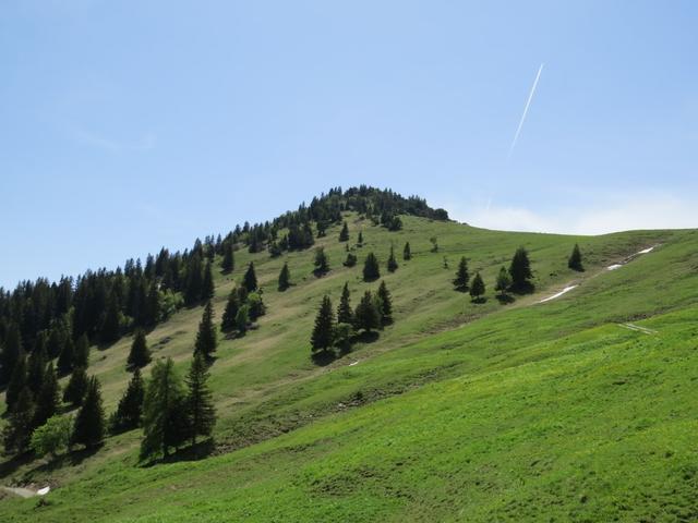 Blick zurück und hinauf zum Gonzen. Von dieser Seite ein lieblicher Berg