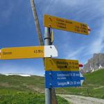 auf einer Alpstrasse weiter absteigend erreichen wir danach die Rieterhütten 1579 m.ü.M.