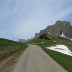 auf der Asphaltstrasse laufen wir nun Richtung Bergstation der Seilbahn Palfries