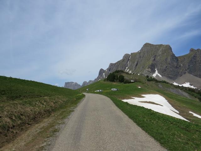 auf der Asphaltstrasse laufen wir nun Richtung Bergstation der Seilbahn Palfries