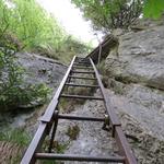 Bergtour Sargans - Leiterweg - Gonzen - Palfries 26.5.2018