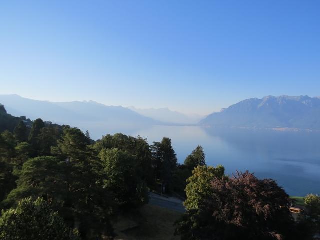 was für eine traumhafte Aussicht auf den Genfersee und die Riviera zwischen Vevey und Montreux