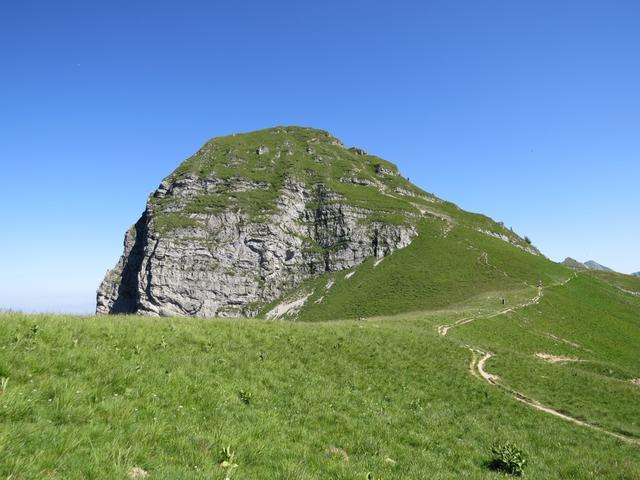 der erste Teil der Wanderung, führt uns auf den Dent de Jaman, der schon von der Haltestelle gut sichtbar ist