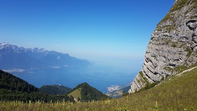 über den Tunnel der Zahnradbahn, wandern wir zu einem kleinen Sattel mit einer schönen Aussicht auf den Genfersee