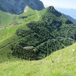 einfach schön diese Aussicht auf die Strecke der Zahnradbahn, die auf den Rochers de Naye führt