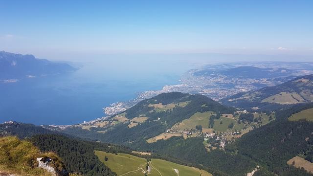 der knapp total einstündige Abstecher zum Dent de Jaman, das steht nun fest, hat sich gelohnt. Blick auf den Genfersee