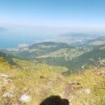 sehr schönes Breitbildfoto. Meine Maus bestaunt die traumhafte Aussicht auf den Genfersee