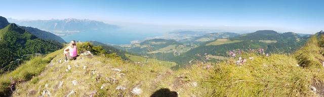 sehr schönes Breitbildfoto. Meine Maus bestaunt die traumhafte Aussicht auf den Genfersee