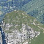 der Dent de Jaman. Gut ersichtlich der Bergweg der zum Gipfel führt