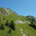 Blick zurück zum Sattel. Links oben der Gipfel des Rochers de Naye