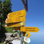 Wegweiser beim kleinen Einschnitt. Links geht es über einen einfachen Wanderweg nach Glion